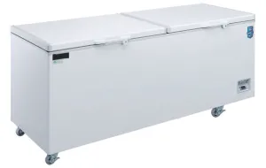 Chef AAA - BT-520 59 Chest Freezer With Solid Door