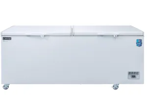 Dukers - BD/BG-520. 59 Chest Freezer With Solid Door