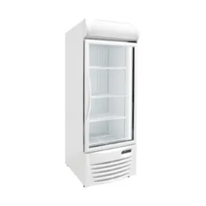 Excellence Industries - GDF-13. 26 Commercial 1 Glass Door Merchandiser Freezer 12 cu.ft.